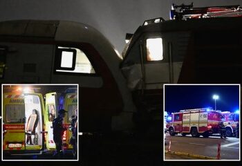 El misterioso y apuesto 'hombre fedora' fotografiado en la escena del atraco al Louvre finalmente es desenmascarado