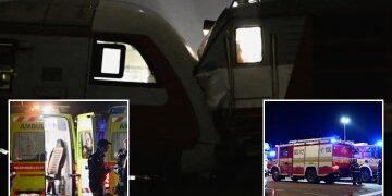 El misterioso y apuesto 'hombre fedora' fotografiado en la escena del atraco al Louvre finalmente es desenmascarado