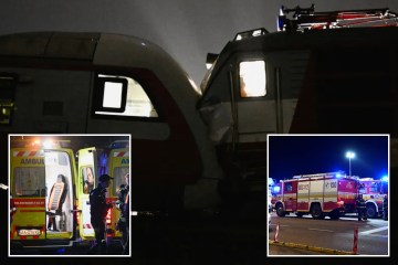 El misterioso y apuesto 'hombre fedora' fotografiado en la escena del atraco al Louvre finalmente es desenmascarado