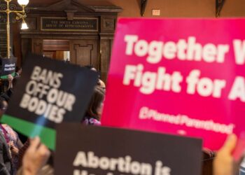 El proyecto de ley antiaborto de Carolina del Sur también prohibiría los anticonceptivos populares