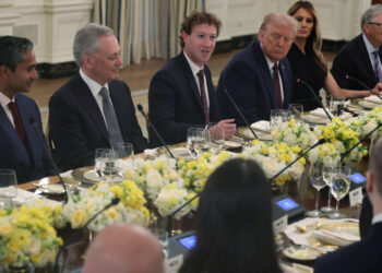 El segundo mandato de Trump disipa cualquier idea de que los directores ejecutivos nos salven de la crisis climática