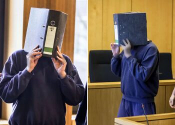 Un collage de imágenes que contiene 2 imágenes. La imagen 1 muestra NINTCHDBPICT001036550703, la imagen 2 muestra NINTCHDBPICT001036550696.