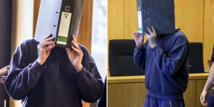 Un collage de imágenes que contiene 2 imágenes. La imagen 1 muestra NINTCHDBPICT001036550703, la imagen 2 muestra NINTCHDBPICT001036550696.