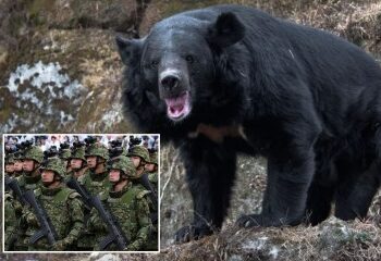 Fui mutilado por un oso grizzly de 500 libras mientras intentaba salvar a mi amigo