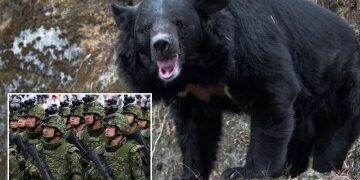 Fui mutilado por un oso grizzly de 500 libras mientras intentaba salvar a mi amigo