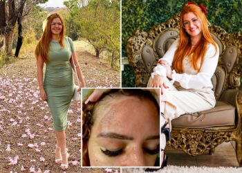 Un collage de imágenes que contiene 3 imágenes. La imagen 1 muestra NINTCHDBPICT001036302572, la imagen 2 muestra NINTCHDBPICT001036302558, la imagen 3 muestra NINTCHDBPICT001036302476.