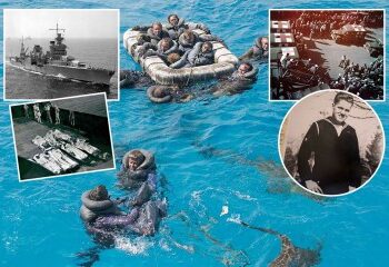 Horror por ataque de tiburón: mujer muerta y hombre crítico en brutal doble ataque por parte de una bestia 'grande' frente a Australia