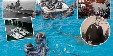 Horror por ataque de tiburón: mujer muerta y hombre crítico en brutal doble ataque por parte de una bestia 'grande' frente a Australia