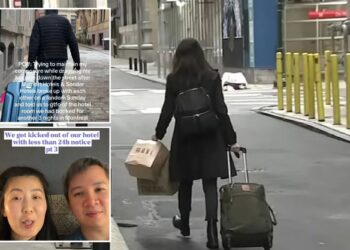 Un collage de imágenes que contiene 3 imágenes. La imagen 1 muestra NINTCHDBPICT001037942965, la imagen 2 muestra NINTCHDBPICT001037941675, la imagen 3 muestra NINTCHDBPICT001037941688.