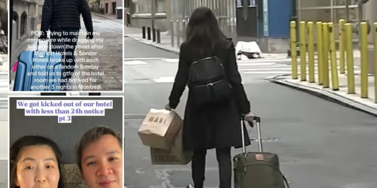 Un collage de imágenes que contiene 3 imágenes. La imagen 1 muestra NINTCHDBPICT001037942965, la imagen 2 muestra NINTCHDBPICT001037941675, la imagen 3 muestra NINTCHDBPICT001037941688.