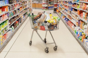 Indignación cuando Shein es acusada de vender muñecas sexuales infantiles enfermas pocos días antes de que el gigante de la moda abra su primera tienda física.