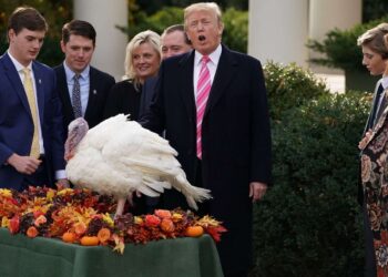 La Casa Blanca promociona “alivio” mientras los datos muestran que los precios aumentan antes del Día de Acción de Gracias
