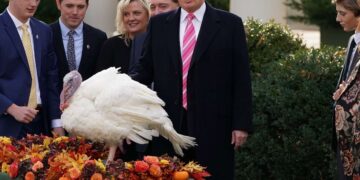 La Casa Blanca promociona “alivio” mientras los datos muestran que los precios aumentan antes del Día de Acción de Gracias