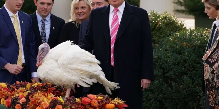 La Casa Blanca promociona “alivio” mientras los datos muestran que los precios aumentan antes del Día de Acción de Gracias