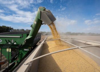 La administración Trump anunciará un paquete de ayuda para los agricultores en medio del acuerdo sobre la soja con China