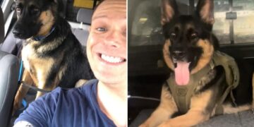 Un collage de imágenes que contiene 2 imágenes. La imagen 1 muestra NINTCHDBPICT001039342848, la imagen 2 muestra NINTCHDBPICT001039342784.