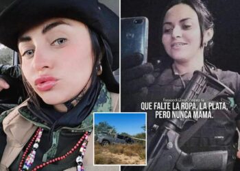 Un collage de imágenes que contiene 3 imágenes. La imagen 1 muestra NINTCHDBPICT001037585303, la imagen 2 muestra NINTCHDBPICT001037585297, la imagen 3 muestra NINTCHDBPICT001037585277.