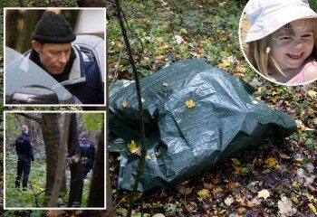 La nueva guarida en el bosque de Christian Brueckner descubierta como dos 'ayudantes' femeninas con la guarida del sospechoso Maddie, guardia pitbull