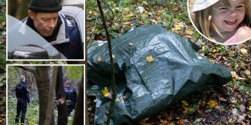 La nueva guarida en el bosque de Christian Brueckner descubierta como dos 'ayudantes' femeninas con la guarida del sospechoso Maddie, guardia pitbull