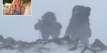 Los supervivientes de la tormenta de nieve en Chile que mató al ex asistente de Cheryl Tweedy dicen que se vieron obligados a convertirse en rescatistas en medio de "fallos"