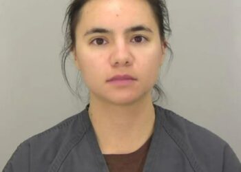 NINTCHDBPICT001038500962