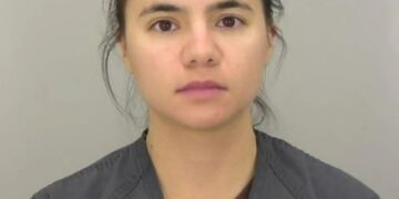 NINTCHDBPICT001038500962