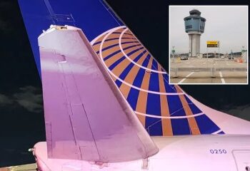 Mira cómo sacan a su novia del avión en plena crisis de gritos