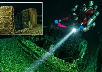 Un collage de imágenes que contiene 2 imágenes. La imagen 1 muestra un buzo iluminando un naufragio en el fondo del lago Ontario. La imagen 2 muestra parte de un naufragio de madera hundido en el fondo del lago Ontario, cubierto de mejillones.