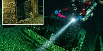 Un collage de imágenes que contiene 2 imágenes. La imagen 1 muestra un buzo iluminando un naufragio en el fondo del lago Ontario. La imagen 2 muestra parte de un naufragio de madera hundido en el fondo del lago Ontario, cubierto de mejillones.
