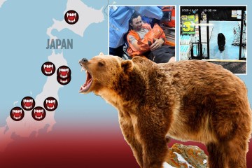 Momento aterrador: un oso desenfrenado CARGA contra un automóvil después de una serie de ataques mortales que desencadenaron el despliegue militar en Japón