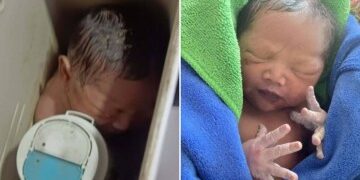 Momento impactante: una mujer es encontrada viva en un ataúd momentos antes de la cremación después de que el personal de la funeraria escuchara golpes provenientes del ataúd