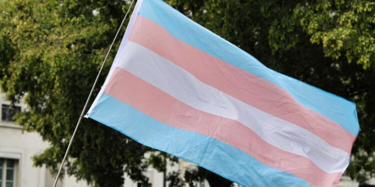 Nuevo estudio: La atención que afirma el género reduce drásticamente el riesgo de suicidio de los niños trans