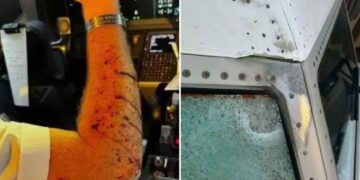 Un collage de imágenes que contiene 2 imágenes. La imagen 1 muestra el brazo de un piloto cubierto de manchas rojas, posiblemente sangre o sarpullido, en una cabina. La imagen 2 muestra daños a un avión, incluido un parabrisas destrozado y abolladuras en el cuerpo del avión.