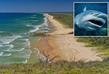 Oscuridad total y humo asfixiante... Los supervivientes del incendio de un rascacielos en Hong Kong revelan una huida desesperada del infierno que mató a 94 personas