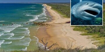 Oscuridad total y humo asfixiante... Los supervivientes del incendio de un rascacielos en Hong Kong revelan una huida desesperada del infierno que mató a 94 personas