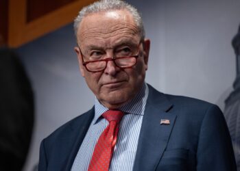 ¿Cuánto vale el patrimonio neto actual de Chuck Schumer?