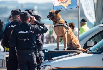 Trágica estudiante de 23 años, mutilada hasta la muerte por un trío de pitbulls que cuidaba perros después de que las mascotas 'de repente se volvieron contra ella'