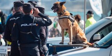 Trágica estudiante de 23 años, mutilada hasta la muerte por un trío de pitbulls que cuidaba perros después de que las mascotas 'de repente se volvieron contra ella'