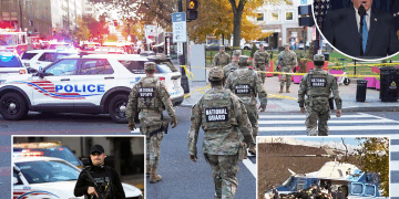 Trump anuncia una 'pausa permanente' para los inmigrantes de 'países del tercer mundo' después de que un afgano matara a una guardia nacional en DC