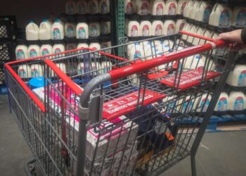 Trump financiará solo la mitad de los beneficios de SNAP, lo que dejará a millones sin alimentos