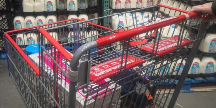 Trump financiará solo la mitad de los beneficios de SNAP, lo que dejará a millones sin alimentos