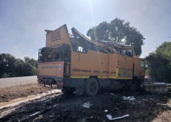 NINTCHDBPICT001040780005