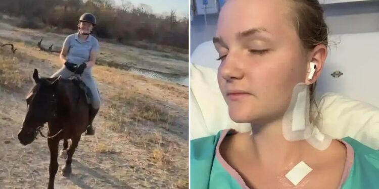 Un collage de imágenes que contiene 2 imágenes. La imagen 1 muestra NINTCHDBPICT001037579575. La imagen 2 muestra a Naemi Boy herido después de haber sido mordido en el cuello por un león.