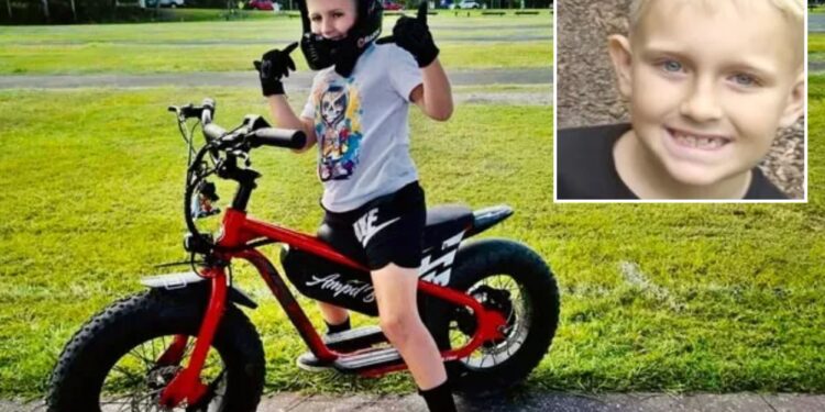 Un collage de imágenes que contiene 2 imágenes. La imagen 1 muestra NINTCHDBPICT001035347316, la imagen 2 muestra NINTCHDBPICT001035348698.