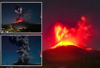 Una pensionista engañada haciéndole creer que tenía una relación con Brad Pitt pierde £90.000 y pasa semanas en un hotel esperándolo