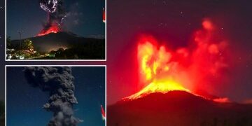 Una pensionista engañada haciéndole creer que tenía una relación con Brad Pitt pierde £90.000 y pasa semanas en un hotel esperándolo