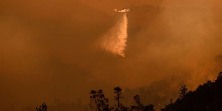 2025 clasificado como uno de los años más calurosos del mundo debido a la crisis climática provocada por el hombre