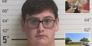 Un collage de imágenes que contiene 3 imágenes. La imagen 1 muestra una foto policial de un adolescente de 19 años con un mono naranja. La imagen 2 muestra NINTCHDBPICT001047251607. La imagen 3 muestra NINTCHDBPICT001047257511.