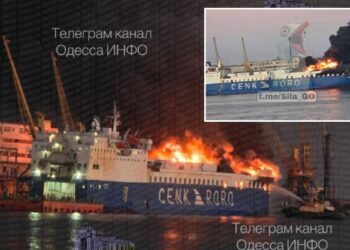 Un collage de imágenes que contiene 2 imágenes. La imagen 1 muestra un barco de carga en llamas en un muelle, con agua rociada desde el lado derecho. La imagen 2 muestra el meme de una gaviota gigante gritando superpuesta a un barco en llamas en un muelle.