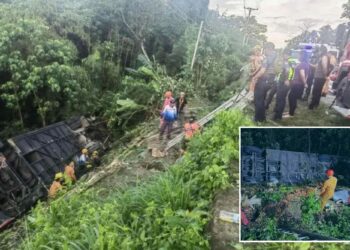 Un collage de imágenes que contiene 2 imágenes. La imagen 1 muestra NINTCHDBPICT001047912652, la imagen 2 muestra NINTCHDBPICT001047913189.